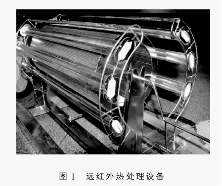 �h(yu��n)�t���̎��x