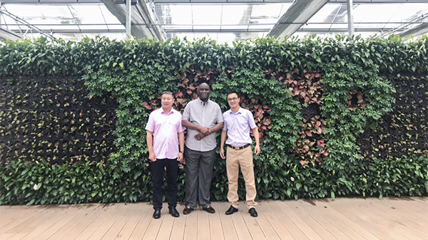 �ӏ����H�����������������r(n��ng)�I(y��)�y�����L���L�������r(n��ng)